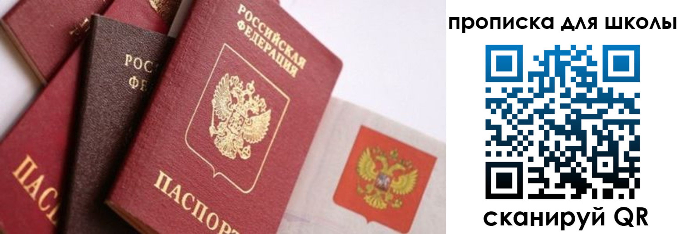 прописка поиск в Златоусте